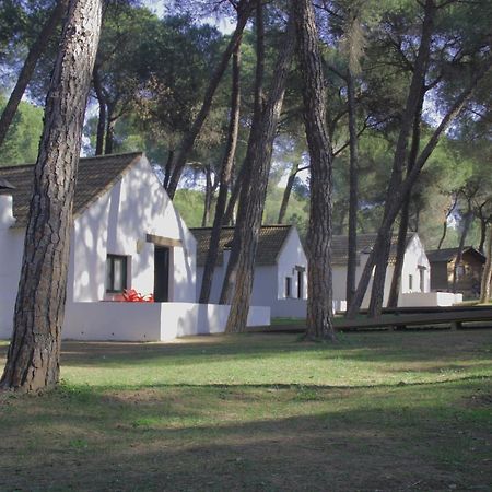 Camping Dehesa Nueva Otel Aznalcázar Dış mekan fotoğraf