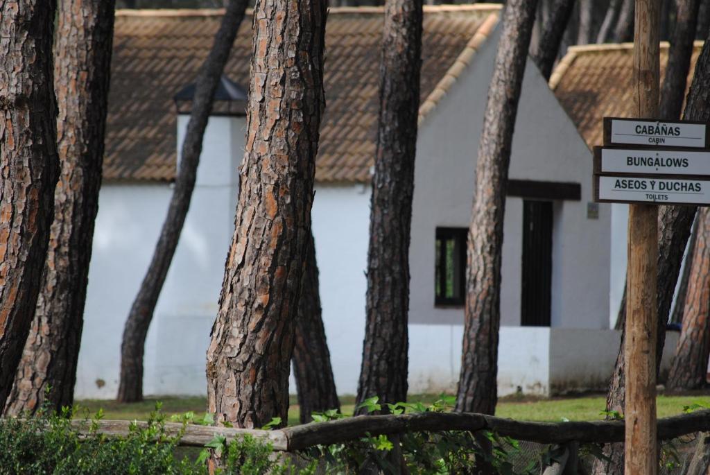 Camping Dehesa Nueva Otel Aznalcázar Dış mekan fotoğraf