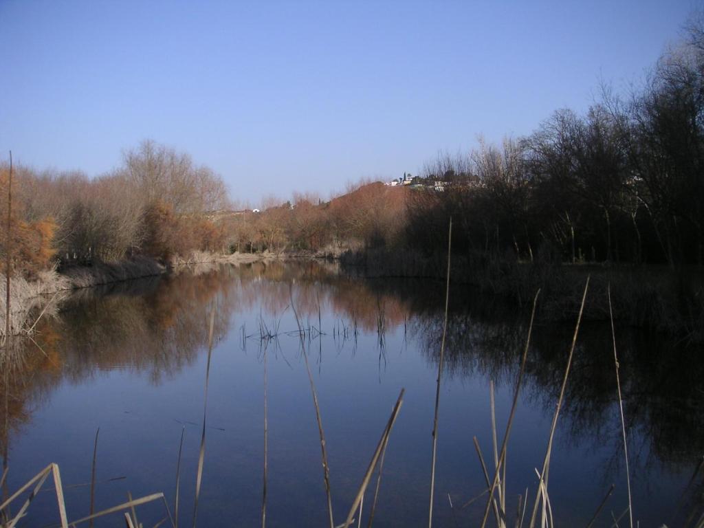 Camping Dehesa Nueva Otel Aznalcázar Dış mekan fotoğraf