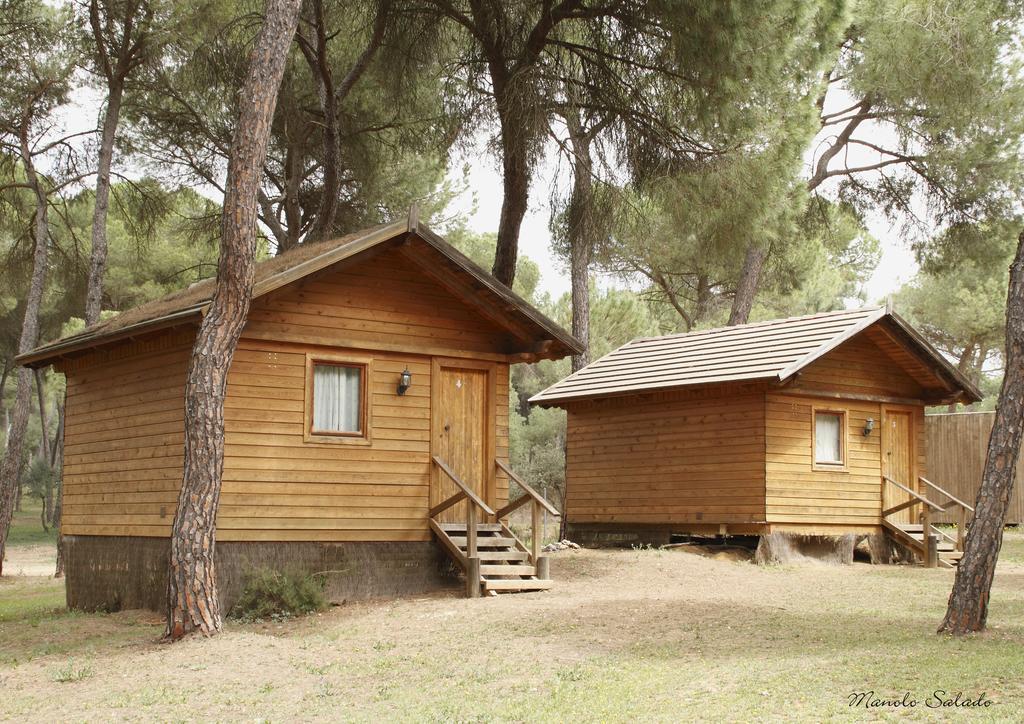 Camping Dehesa Nueva Otel Aznalcázar Dış mekan fotoğraf